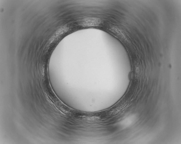 X0000059800539200511111603