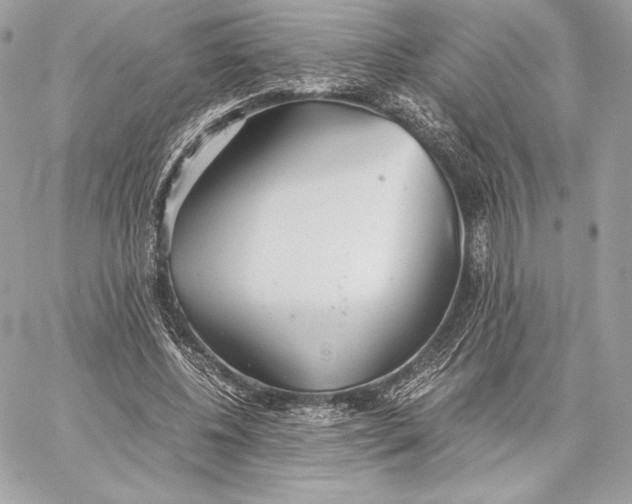 X0000059800540200511111603