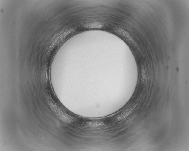 X0000059800541200511111603