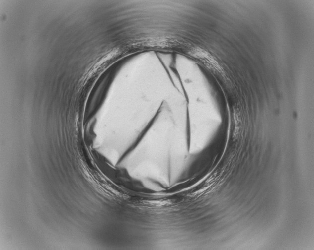 X0000059800542200511111603