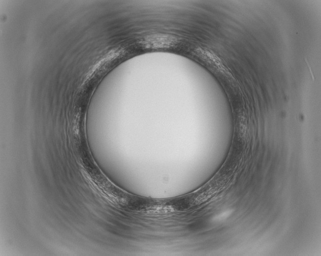 X0000059800543200511111603