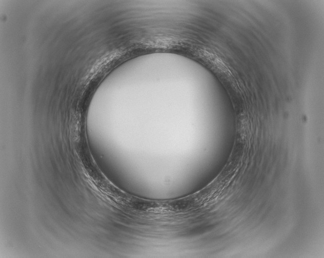 X0000059800544200511111604