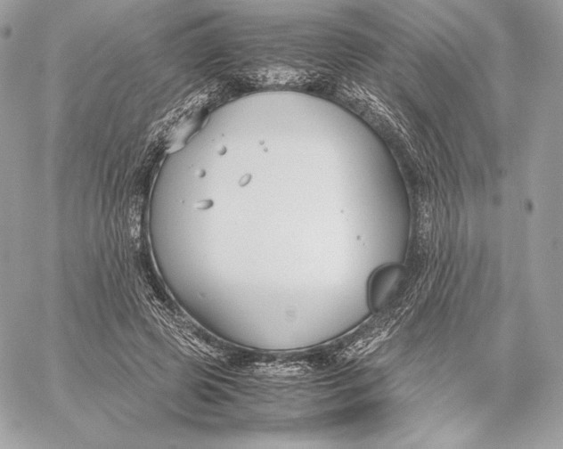 X0000059800545200511111604