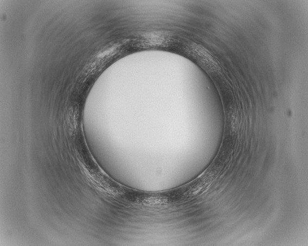 X0000059800546200511111604