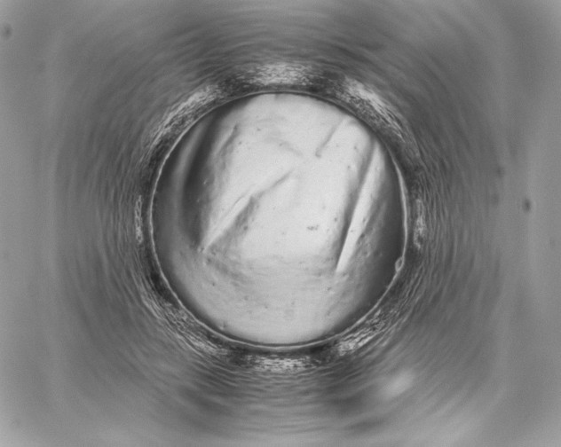 X0000059800547200511111604