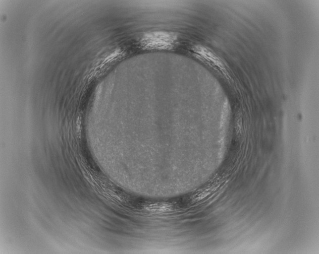 X0000059800551200511111604