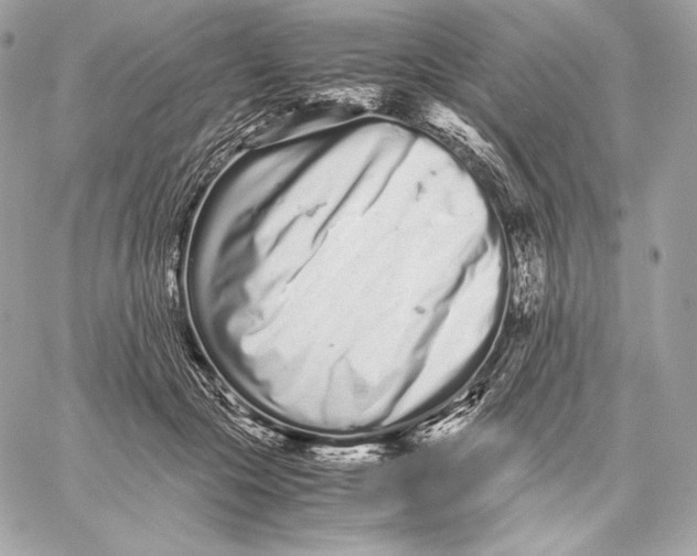 X0000059800553200511111604