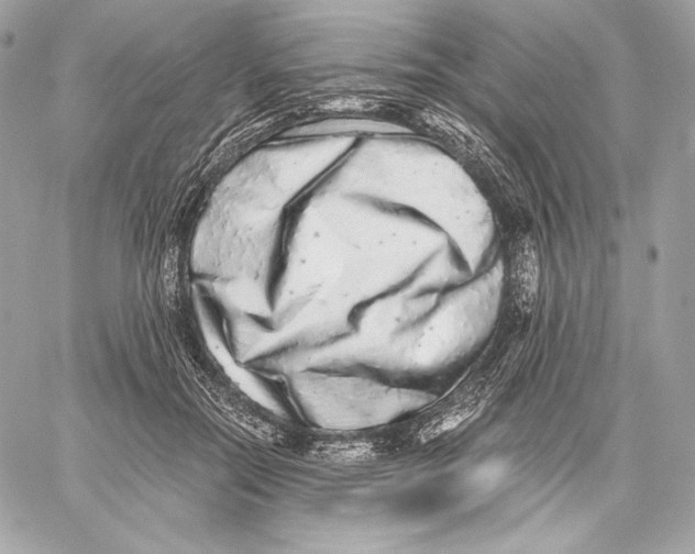 X0000059800554200511111604