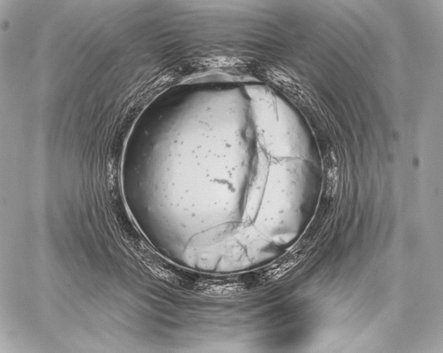 X0000059800555200511111604