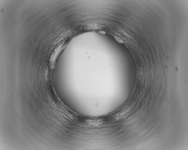 X0000059800556200511111604