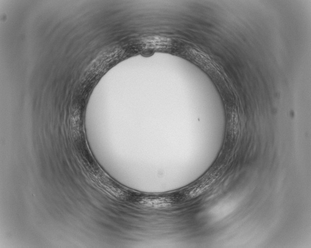 X0000059800557200511111604