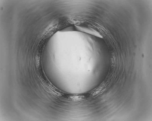 X0000059800558200511111604