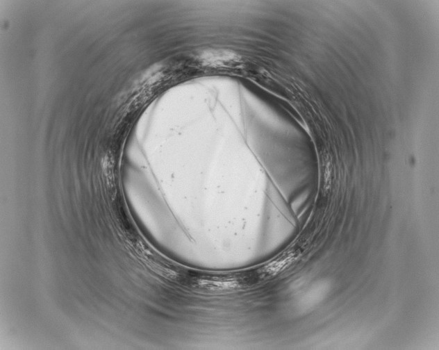 X0000059800559200511111604