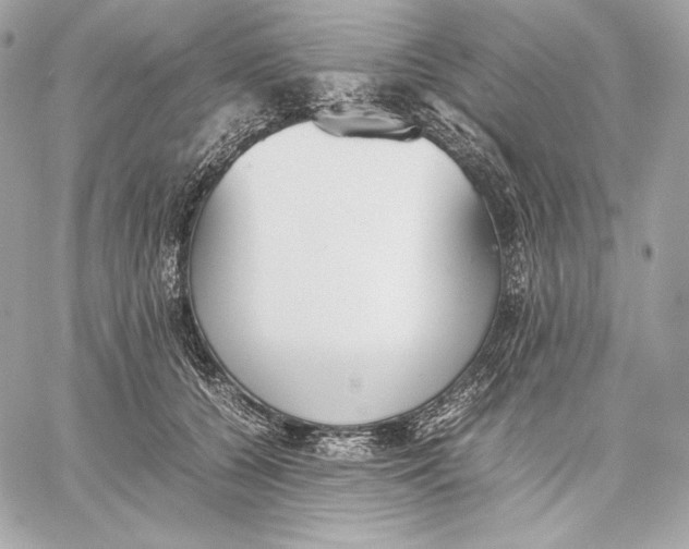 X0000059800560200511111604