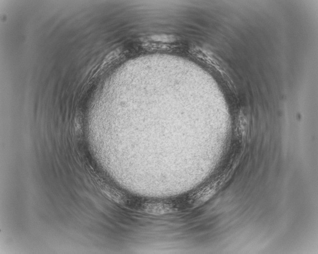 X0000059800561200511111604