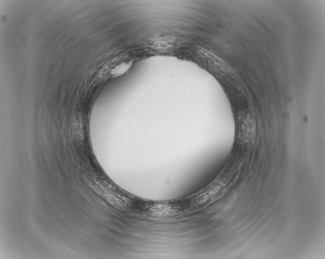 X0000059800562200511111604