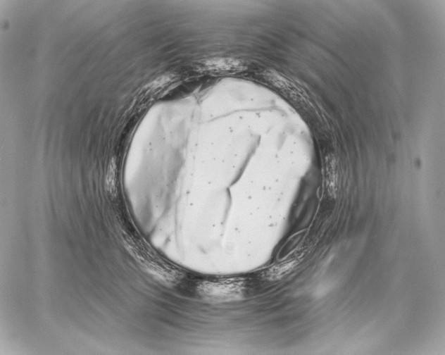 X0000059800563200511111604