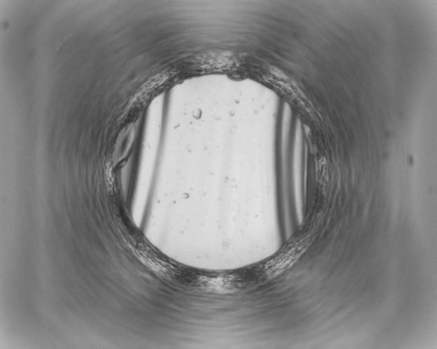 X0000059800564200511111604