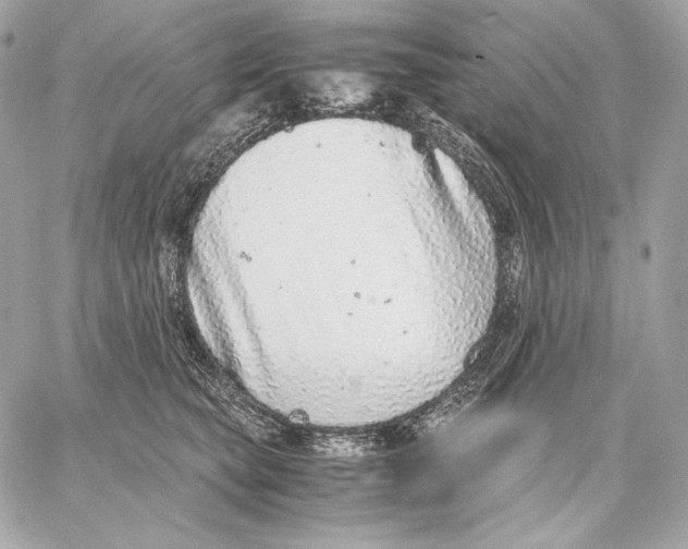 X0000059800565200511111604