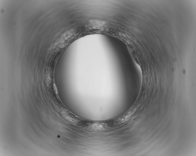 X0000059800566200511111604