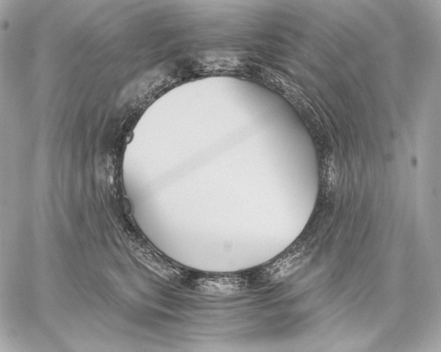 X0000059800567200511111604