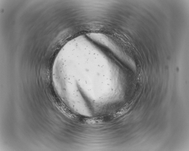 X0000059800568200511111604