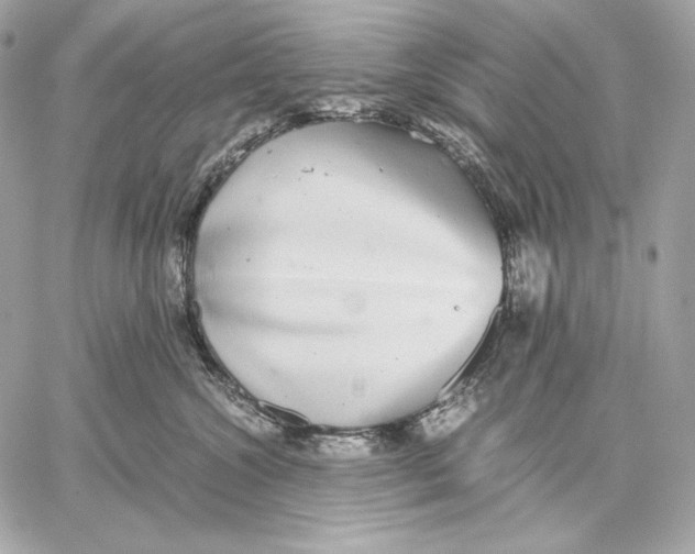 X0000059800572200511111604