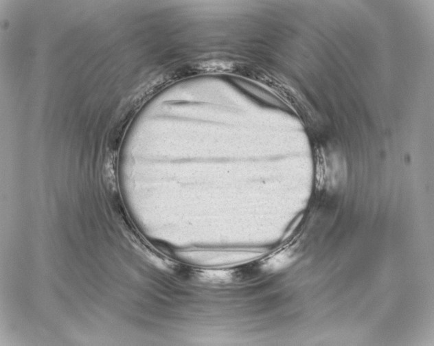 X0000059800573200511111604