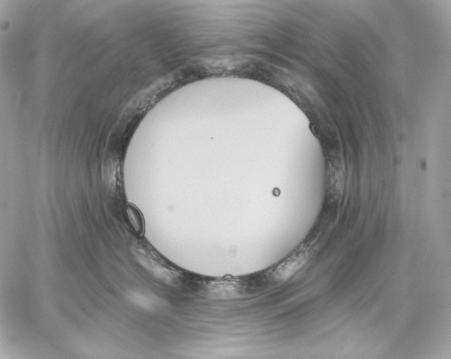 X0000059800574200511111604