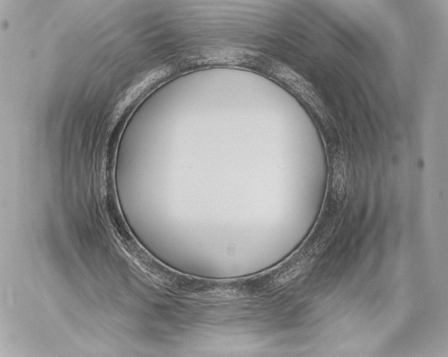 X0000059800578200511111603