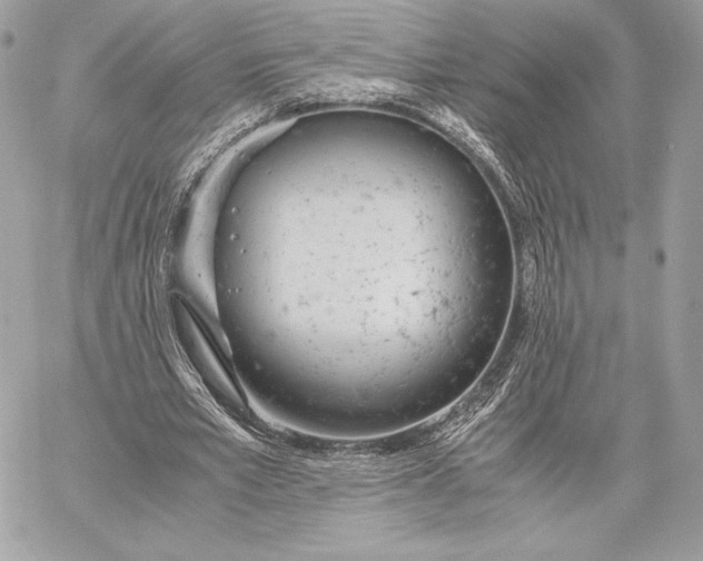 X0000059800581200511111603