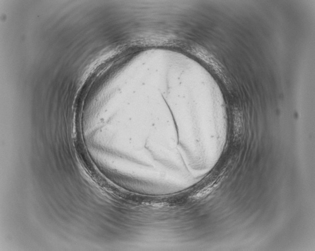 X0000059800582200511111603