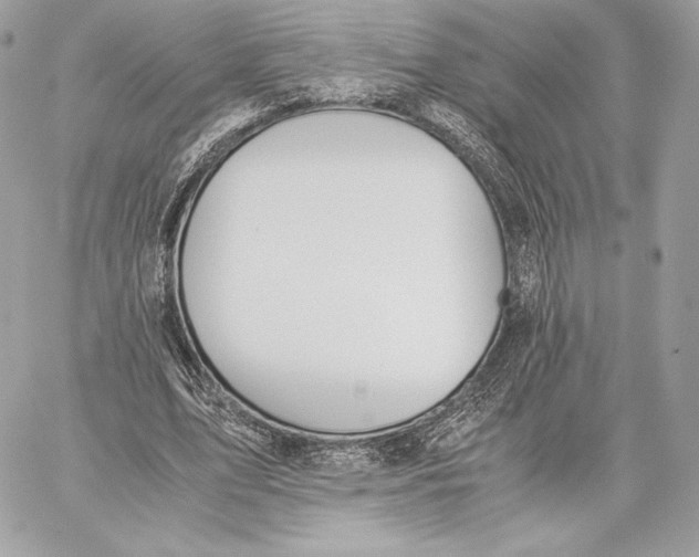 X0000059800583200511111603