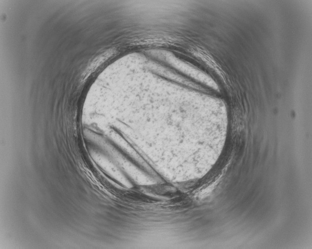 X0000059800585200511111603