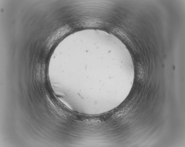 X0000059800586200511111603