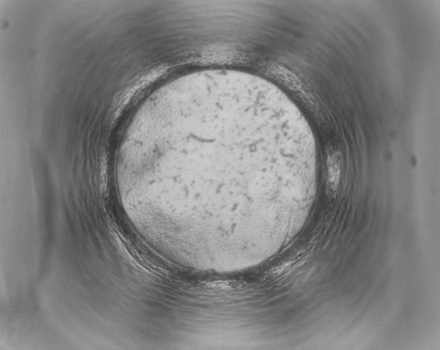 X0000059800588200511111603