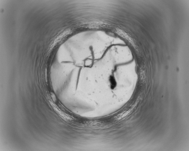 X0000059800589200511111603