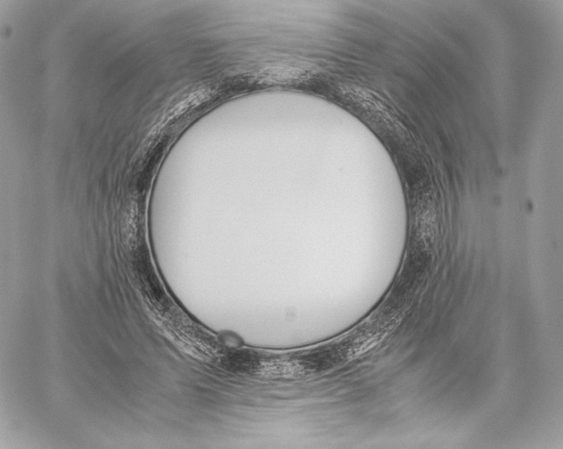 X0000059800591200511111603