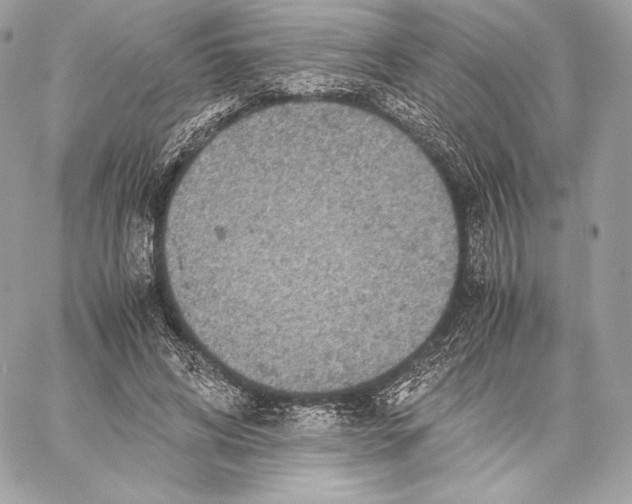 X0000059800592200511111603