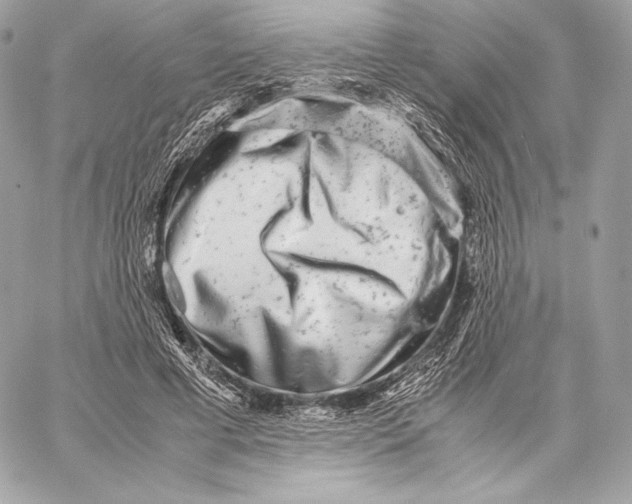 X0000059800593200511111603