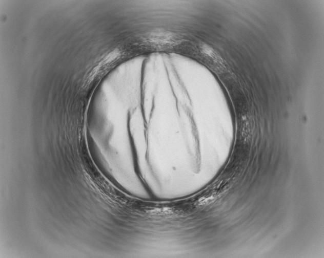 X0000059800594200511111603