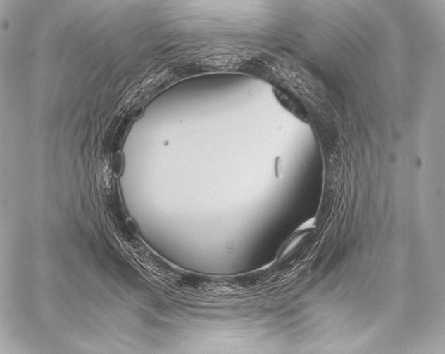 X0000059800597200511111603