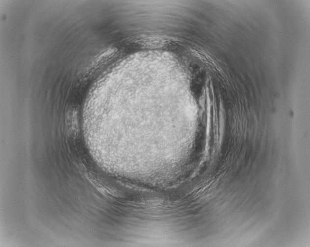 X0000059800598200511111603