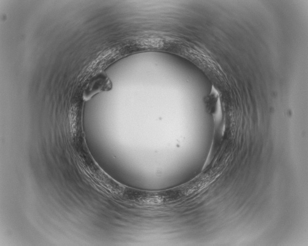 X0000059800600200511111603