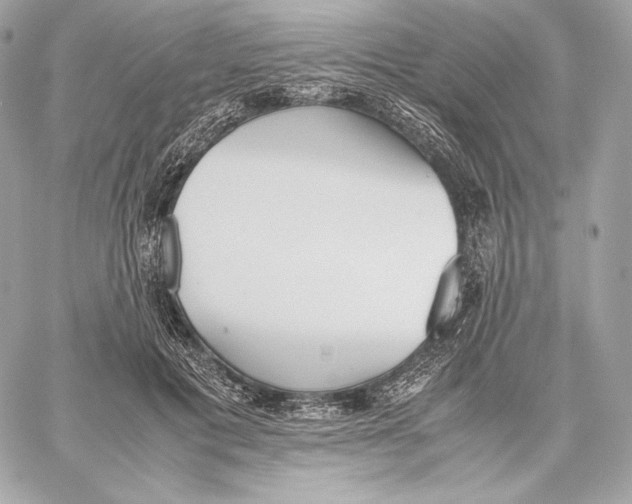 X0000059800601200511111603