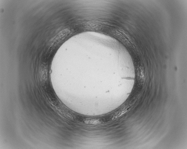 X0000059800602200511111603