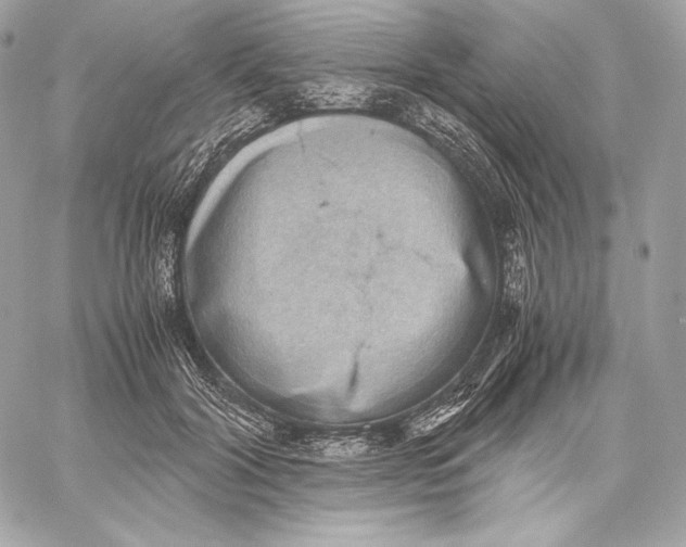 X0000059800604200511111603