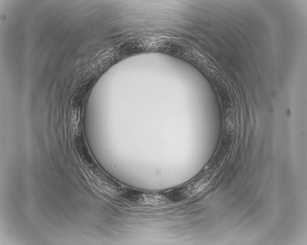 X0000059800605200511111603