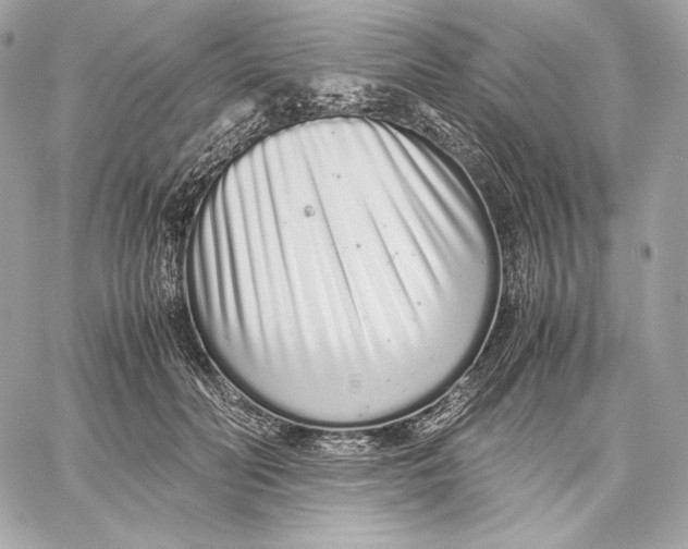 X0000059800606200511111603