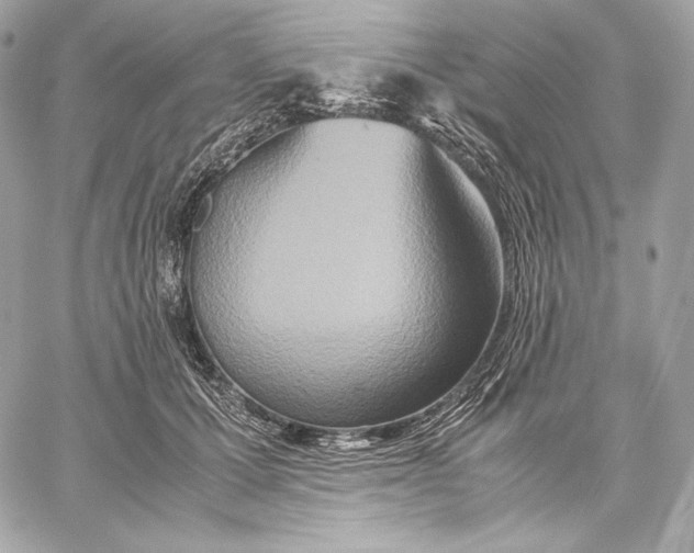 X0000059800607200511111603